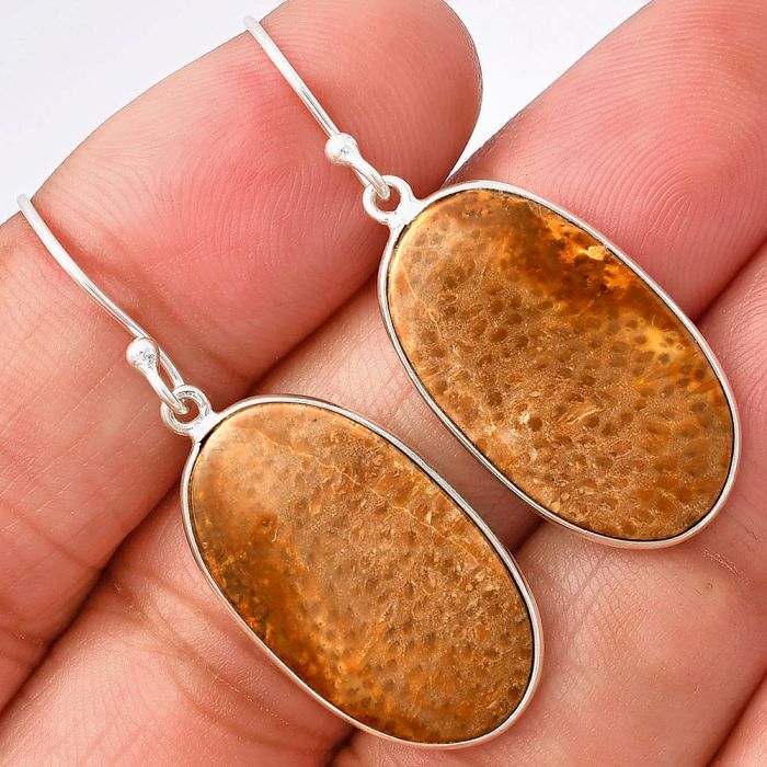 Palm Root Fossil Agate Earrings SDE77120 E-1001, 14x24 mm