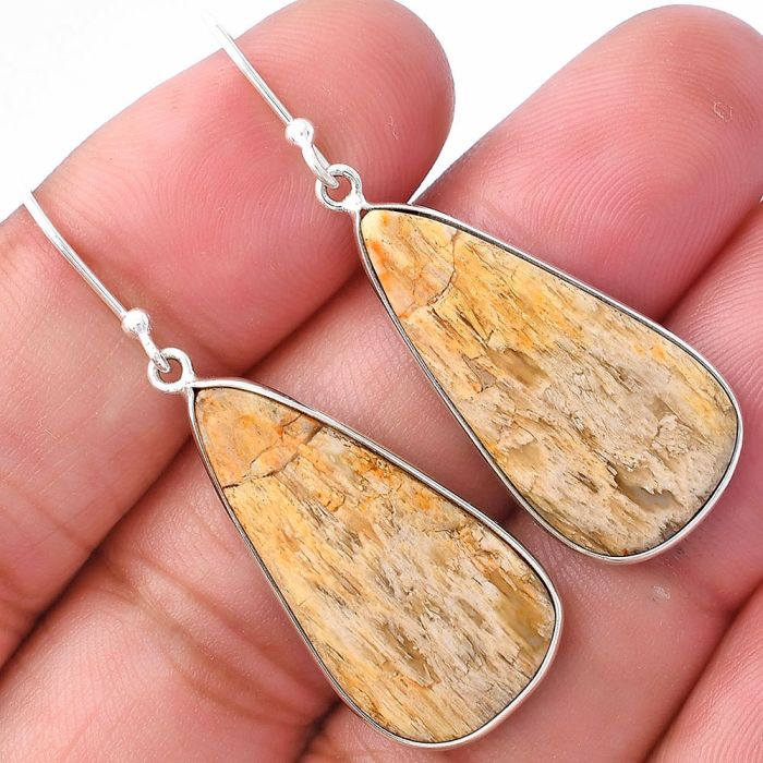 Palm Root Fossil Agate Earrings SDE79884 E-1001, 14x27 mm