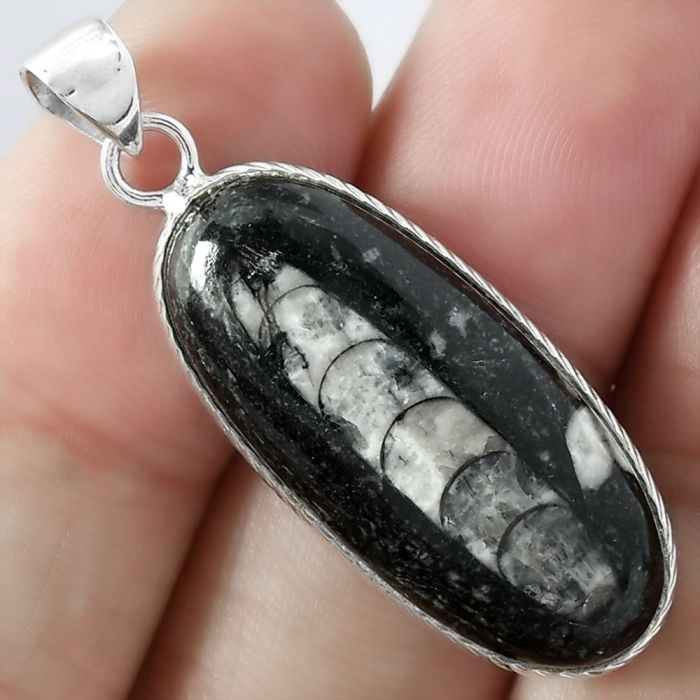 Natural Fossil Orthoceras - Morocco Pendant SDP100966 P-1053, 14x30 mm