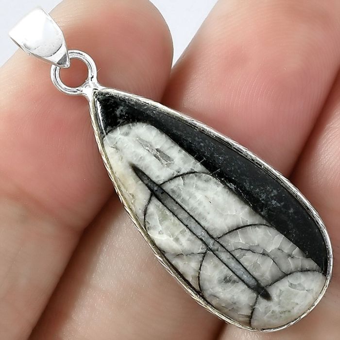 Natural Fossil Orthoceras - Morocco Pendant SDP101073 P-1053, 14x30 mm