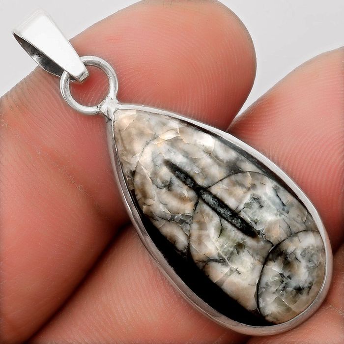 Natural Fossil Orthoceras - Morocco Pendant SDP108196 P-1001, 14x28 mm