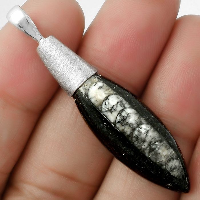 Natural Fossil Orthoceras - Morocco Pendant SDP111381 P-1016, 12x34 mm