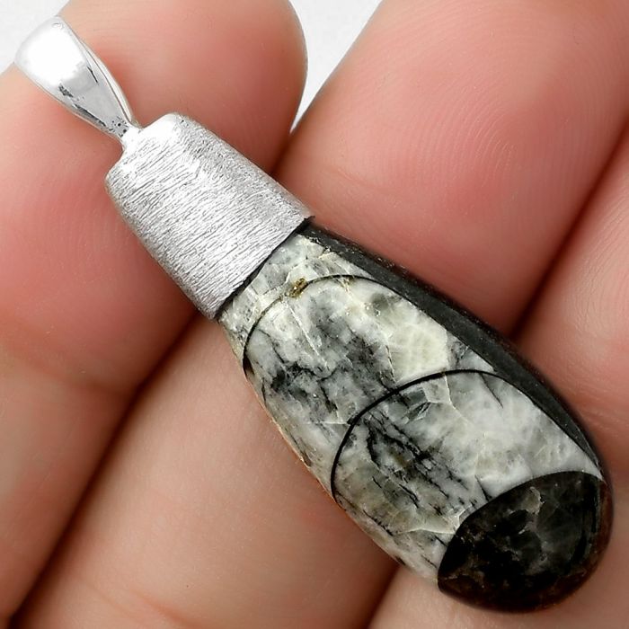 Natural Fossil Orthoceras - Morocco Pendant SDP111417 P-1016, 13x28 mm