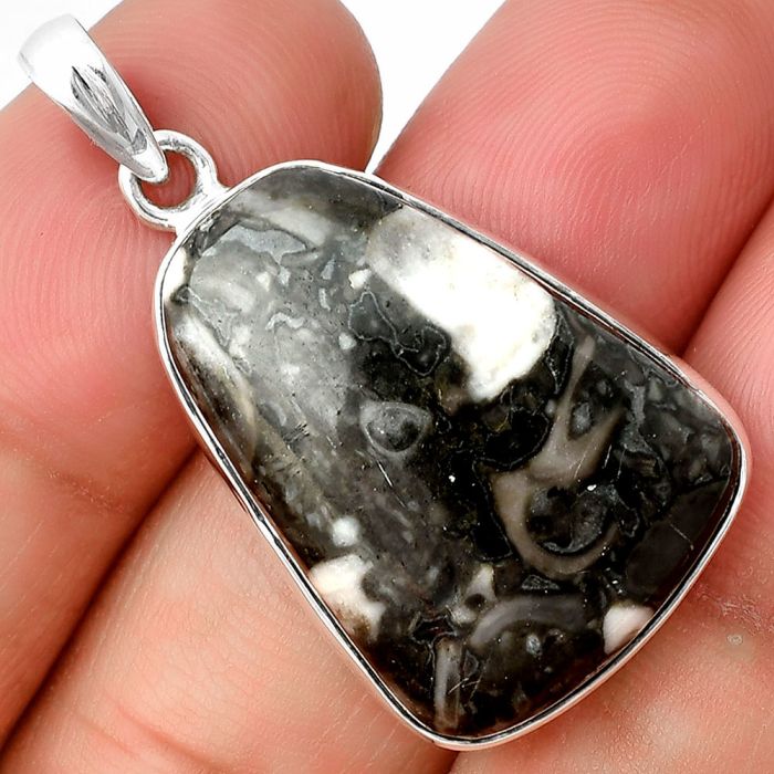 Mexican Cabbing Fossil Pendant SDP136903 P-1001, 19x26 mm
