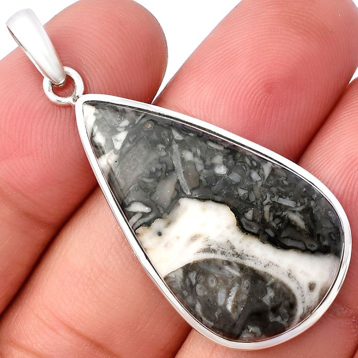 Mexican Cabbing Fossil Pendant SDP140517 P-1002, 19x32 mm