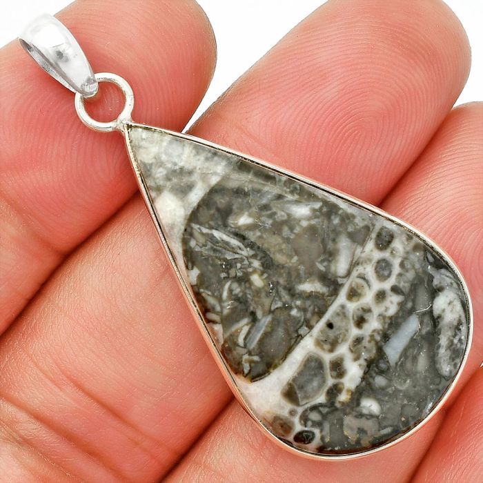 Mexican Cabbing Fossil Pendant SDP150311 P-1001, 24x34 mm