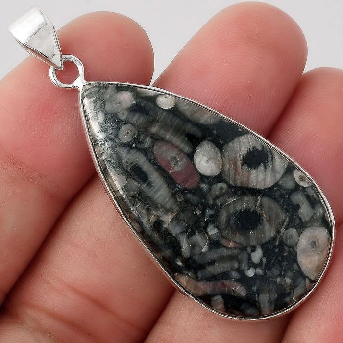 Natural Crinoid Fossil Coral Pendant SDP82535 P-1001, 21x39 mm