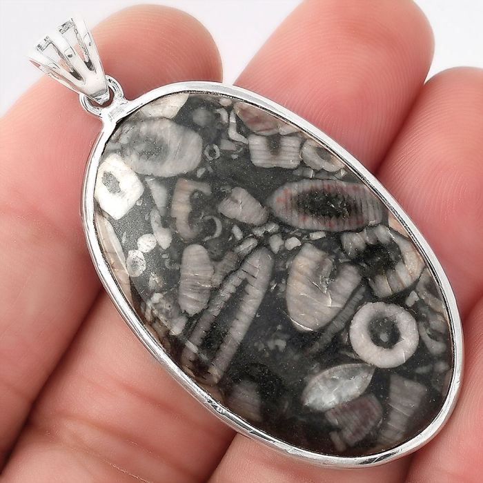 Natural Crinoid Fossil Coral Pendant SDP92735 P-1001, 24x40 mm