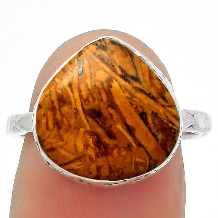 Coquina Fossil Jasper - India Ring size-7.5 SDR168126 R-1191, 13x13 mm