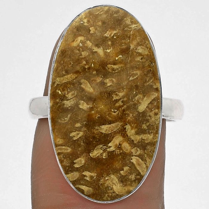 Natural Palm Root Fossil Agate Ring size-8 SDR178227 R-1001, 14x24 mm