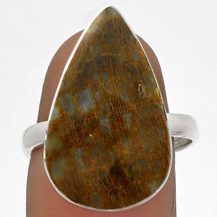 Natural Palm Root Fossil Agate Ring size-8.5 SDR178253 R-1001, 13x22 mm
