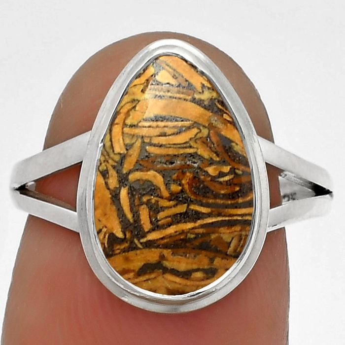 Natural Coquina Fossil Jasper - India Ring size-7 SDR179891 R-1008, 9x14 mm