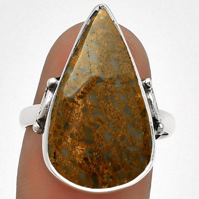 Natural Palm Root Fossil Agate Ring size-8 SDR182767 R-1198, 13x23 mm