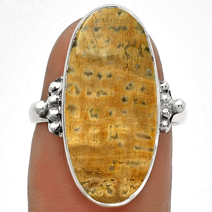 Natural Palm Root Fossil Agate Ring size-7 SDR182801 R-1091, 11x23 mm