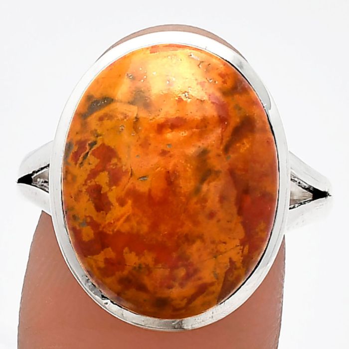 Rare Cady Mountain Agate Ring size-9.5 SDR230528 R-1005, 14x18 mm